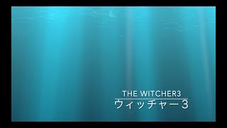 #51 The Witcher3 Game Play