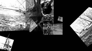 derek piotr · from whiteness