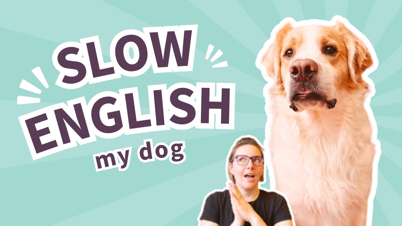🐶 Did I adopt a broken dog? | Everyday English B1 SLOW ENGLISH listening practice