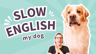 🐶 Did I adopt a broken dog? | Everyday English B1 SLOW ENGLISH listening practice