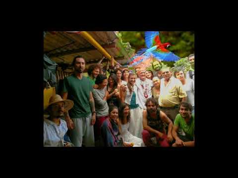 Música Medicina - Plumas Ancianas - La Palomera.