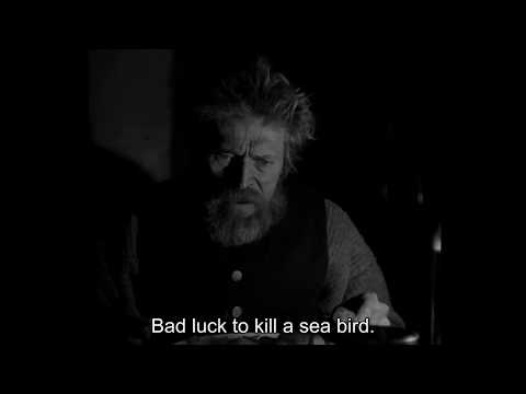 The Lighthouse - Bad luck to kill a sea bird!