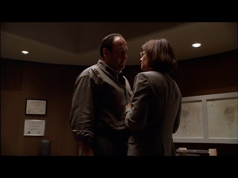 The Sopranos - Tony Tries To Kiss Dr. Melfi