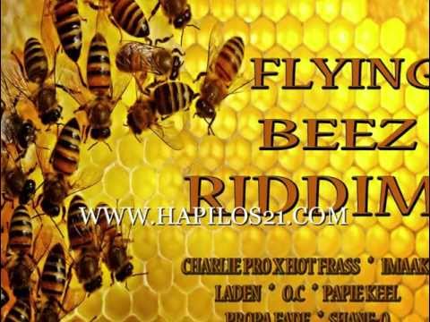 download lagu mp3 mp4 VA Beez Hive Riddim 2009, download mp3 VA Beez Hive Riddim 2009 free download, download mp3 VA Beez Hive Riddim 2009