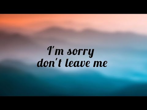 SLANDER_I'm sorry don't leave me i want here with me (lyrics) Love is gone
