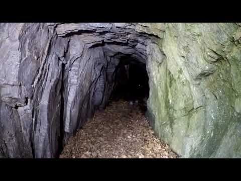 Der Zacken im Taunus, Waschbärhöhle und Burgruine Falkenstein