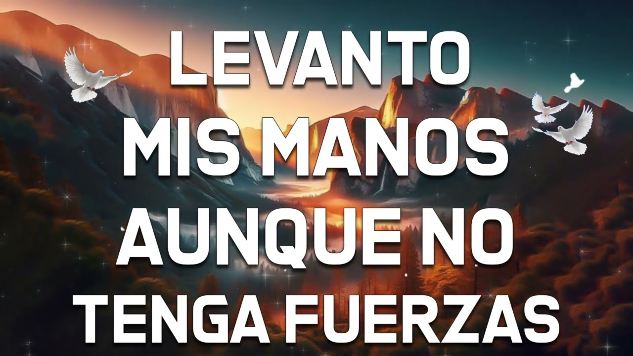 LEVANTO MIS MANOS 🙌 Cantos De Adoración Cristiana Lo Mejor En Adoración Y Fortaleza