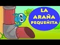 INCY WINCY ARAÑA PEQUEÑITA Itsy Bitsy Spider Español Canciones Infantiles Dibujos En Español