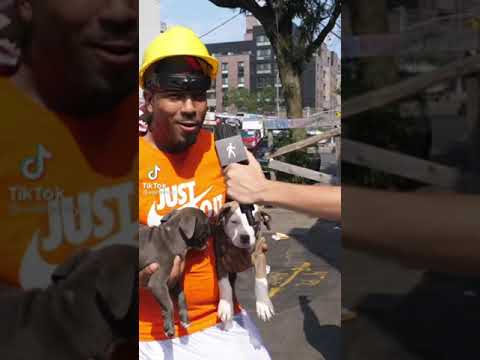 Come to Coney Island and take a Spin on the Cyclone 👷🏾‍♂️ #shorts #tiktok