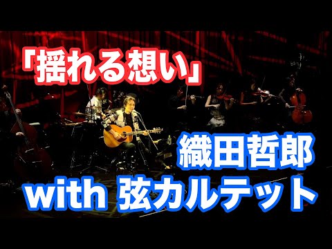 「揺れる想い」ZARD #Youtube #幻奏夜Ⅵ #撮って出し【オダテツ3分トーキング】