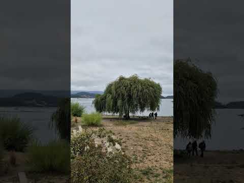 Panguipulli,Región de los Ríos!!🇨🇱 #Panguipulli #chile #shorts #short #shortvideo #viral #video