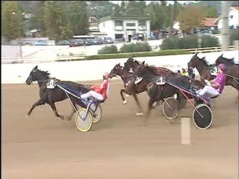 Trotto 22/10/2017 - 2ª corsa