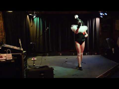 In Like Lionesses: Miss Kitty Fantastico - Funny Girl