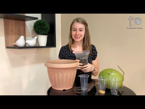 Sonntagschule - Unser Herz, ein Ackerboden (#Kinderstunde #Kinderkirche #Kindergottesdienst)