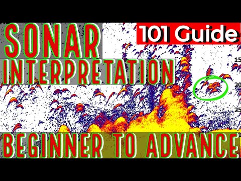 Sonar for Beginners Fish Finder Interpretation Guide, Reading, Advanced, Set Up, Placement, Settings