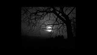 I Can't Believe in Spring - Davide Petrocca & Olaf Polziehn