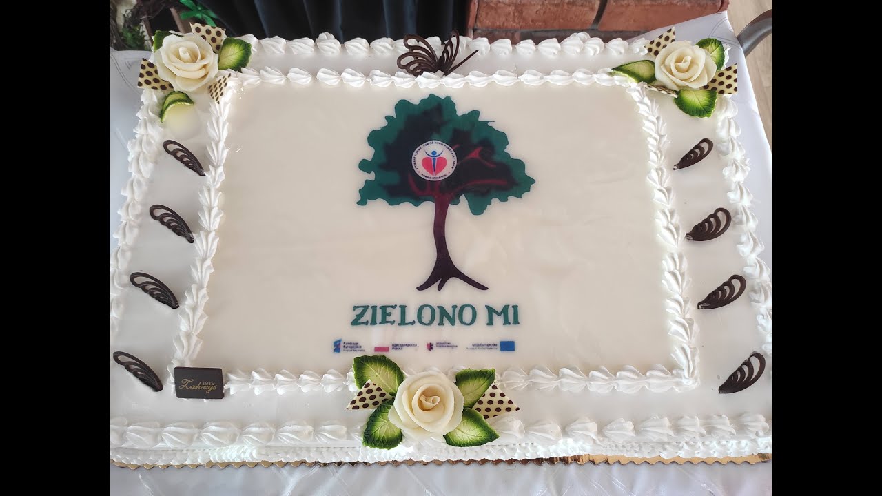 Podsumowanie projektu ZIELONO MI