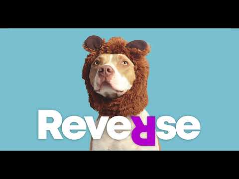 Tony Metric - My Emotions [REVERSE]