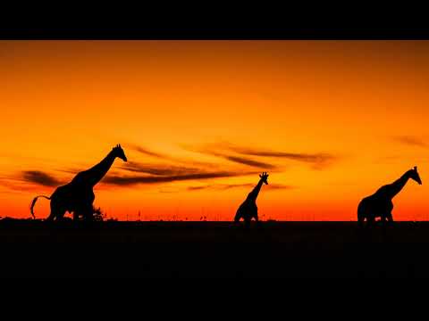 DJ LeSoul ,Da Capo Ft Simmy - Funa Wena