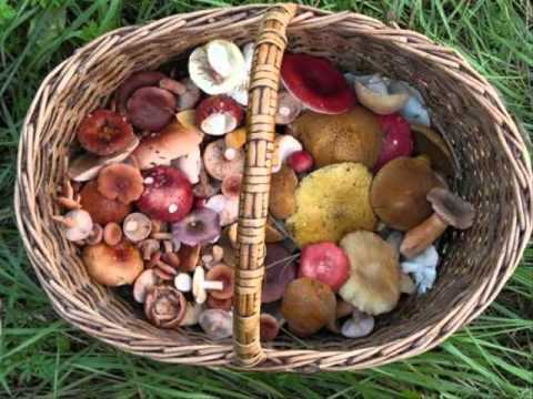 Son Kite - Live Set (Myst 2005)