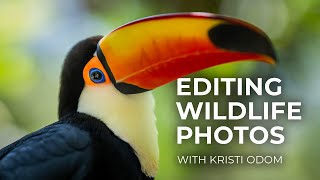 Kristi Odom Edits Her Wildlife Photos