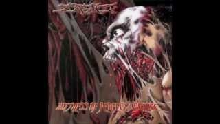 Jasad- Witness of Perfect Torture (Full Album)