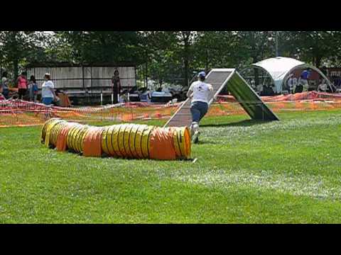 Smaragd Kupa - IMCA rájátszás 2016.05.28 Römi A2 agility