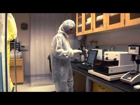 Career Spotlight: Bioengineer