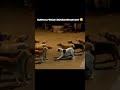 Funny Videos Surya Feroz Crossover We Get