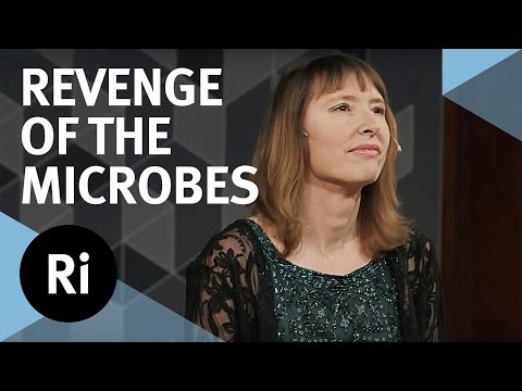 Bacterias y Antibióticos: La venganza de los microbios