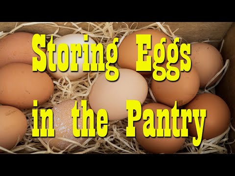 Preserving Eggs for the Pantry ~ Oiled Eggs on the Shelf ~ Food Storage