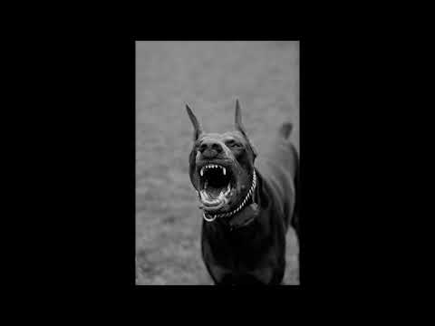 [FREE] JONNY5 x PISLIK88 Type Beat - "STICKY" (prod. @mdjot169) 🍭