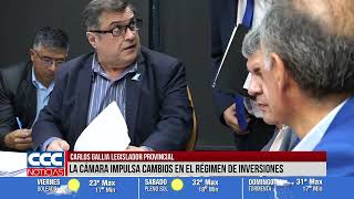 CARLOS GALLIA LEGISLADOR PROVINCIAL