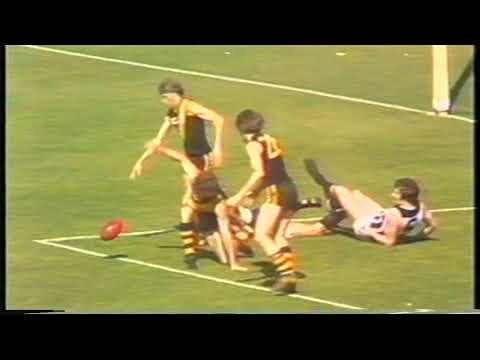 1977 Grand Final Port 17.11 113 d Glenelg 16.9 105 New version with superior footage