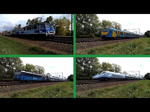 Wakacyjna składanka kolejowa z Gdańska Żabianki