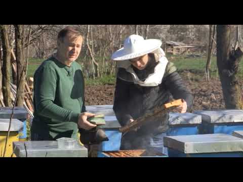 Boja meda ep.5 10.04.2018. - Kontejnerski način pčelarenja, Pčelinji ples,  Činjenice o propolisu...