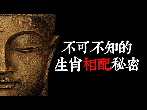 雞蛇配
