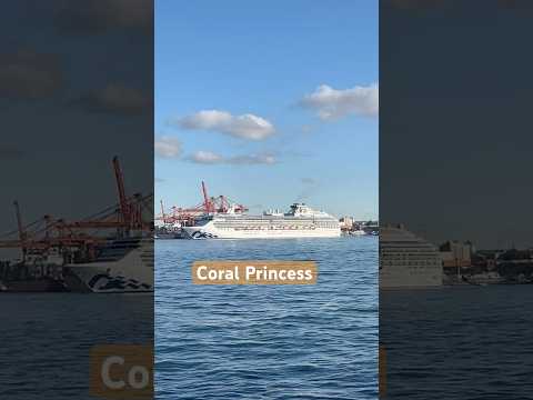Thumbnail for Coral Princess cruise #youtubeshorts #short