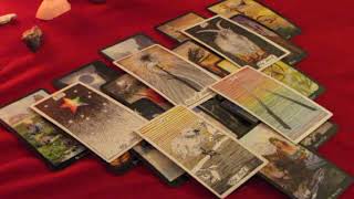 ~CANCER~ SEPTEMBER 2017~Flying~Monthly General Tarot Reading