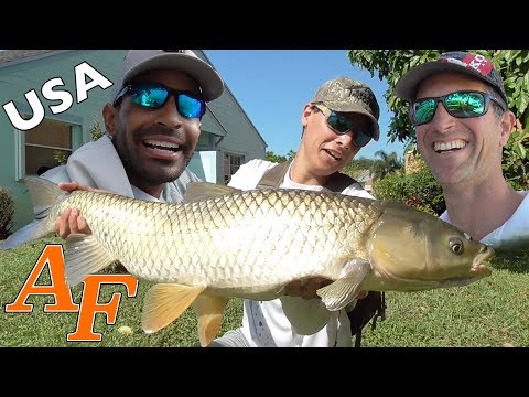 Catching Fish ft Catchemall Fishing Monster Grass Carp his Moby Dick fishn pet Shamu feeding EP.383