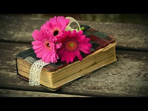 Люцина ХВОРОСТ - Життя твого повість проста