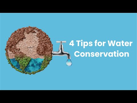 4 Tips for Water Conservation in Agriculture