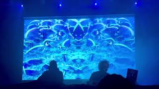 The Orb - Earth (Gaia)(Live at TivoliVredenburg)