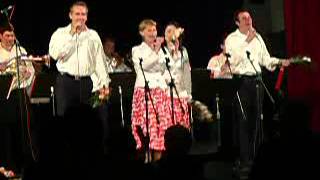 MUZIKANTI z JIŽNÍCH ČECH - Spadl lístek - směs MUZIKANTI z JIŽNÍCH ČECH - Spadl lístek - směs