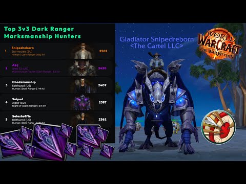 Rank 1 Dark Ranger World in 3v3 | LFG, No Voice, No Trinket | MM Hunter PVP
