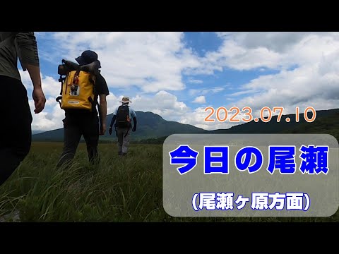 2023.07.10撮影　今日の尾瀬（尾瀬ヶ原方面）