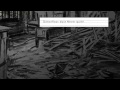 Agnetha Fältskog Ft Gary Barlow I Should Ve Followed You Home Lyric Video