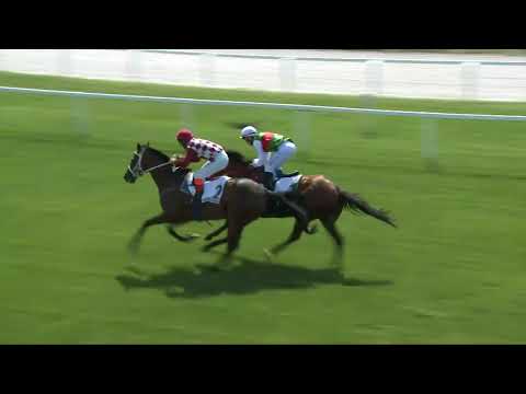 2017.08.20. 1. futam - COMMANDER GÁTVERSENY