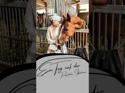 Damit hat keiner gerechnet😨Werbung @badengalopp_since2021 #pferd #galopprennen #rennpferd #shorts