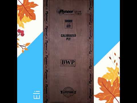 Plyneer Gurjan BWP Marine Plywood